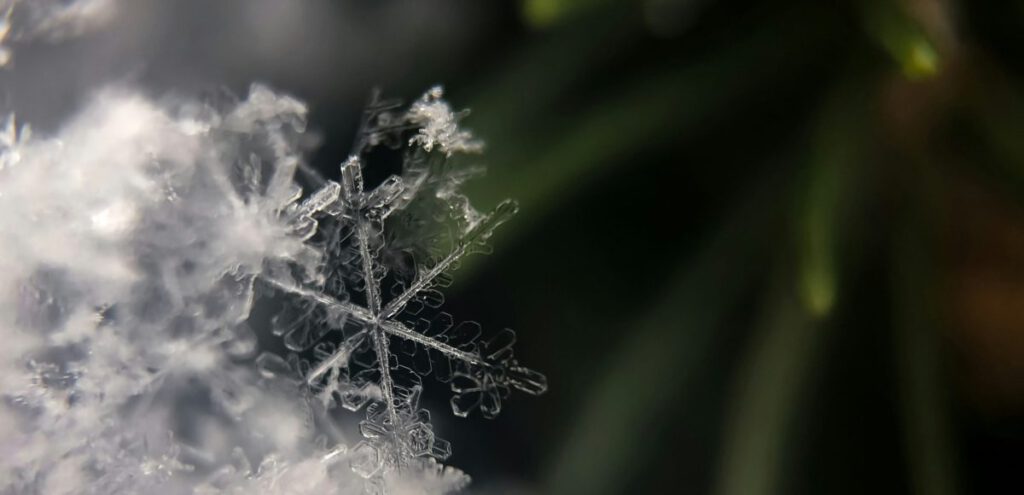 Afbeelding - Feestdagen vol spanning